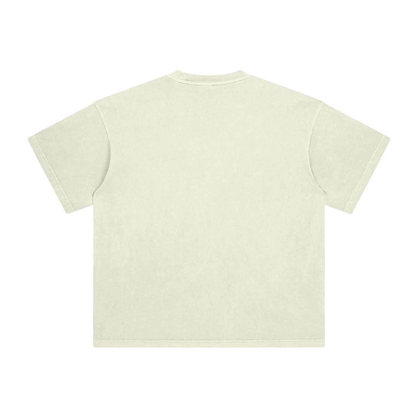 EAGLE Enzyme Washed T-Shirt